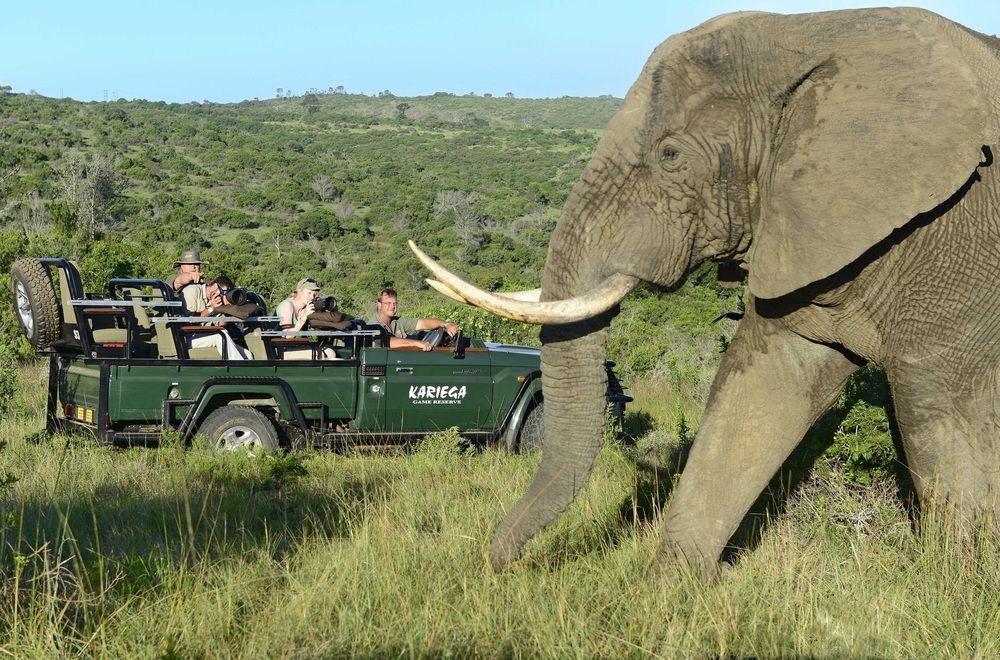 Kariega Game Reserve Settlers Drift Alexandria  Exterior photo