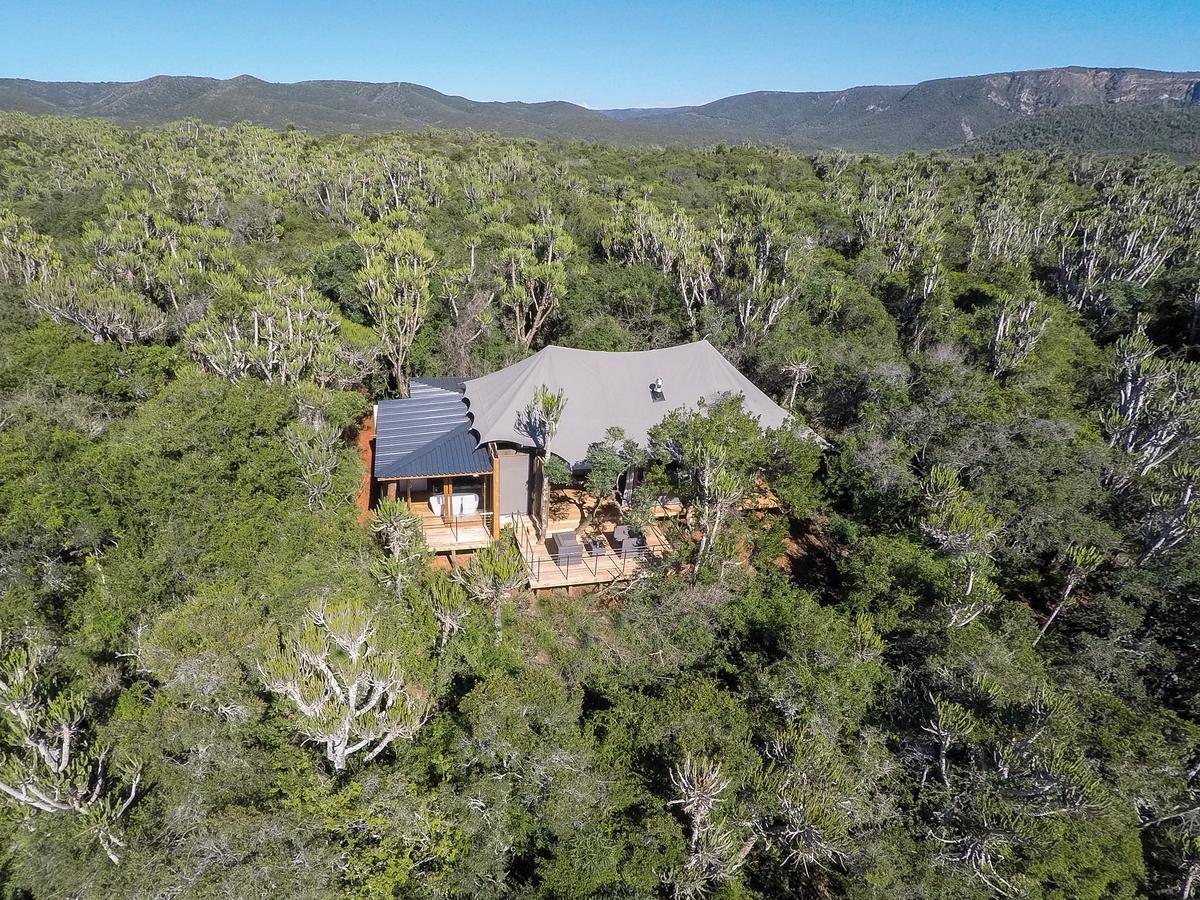 Kariega Game Reserve Settlers Drift Alexandria  Exterior photo